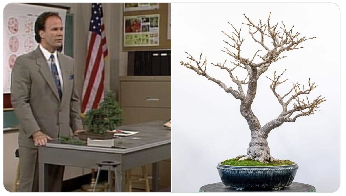 Have y'all ever seen the "Saved By The Bell" episode where Mr. Belding  keeps trimming his beloved Bonsai tree until it's destroyed? That's how the  12-team College Football Playoff with a 3-loss