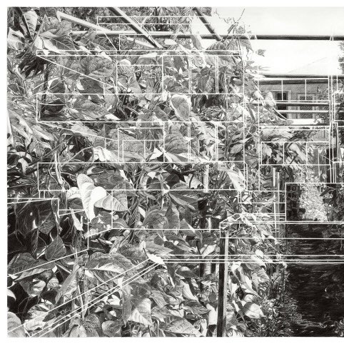 Rae White tweet media