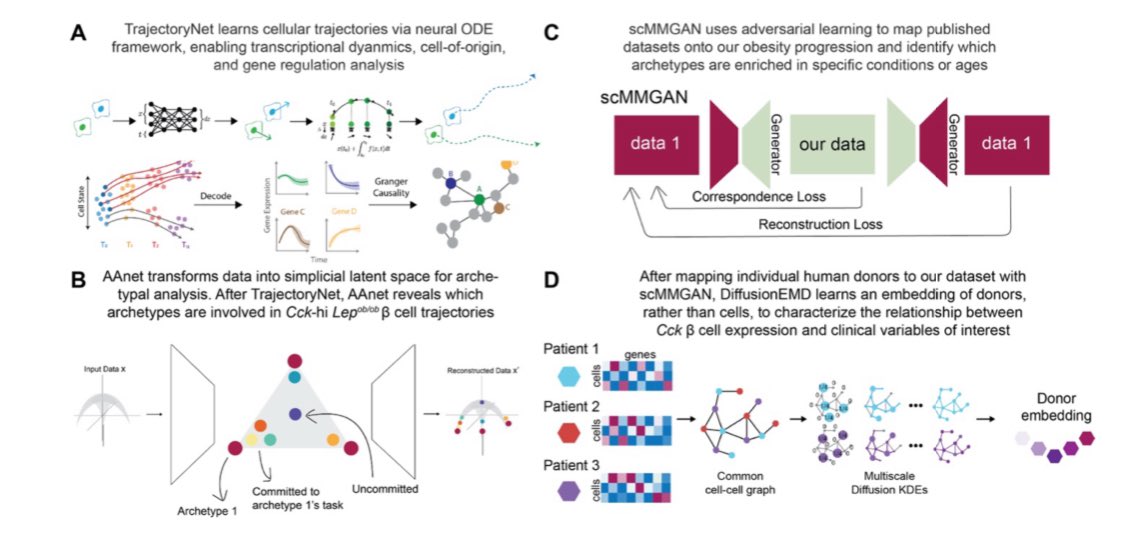 Preprint from <a href="/MuzumdarLab/">Muzumdar Lab</a> <a href="/YaleCancer/">Yale Cancer Center</a> doing a deep dive on endocrine-exocrine crosstalk in #PancreaticCancer and in particular how OBESITY modifies this interaction
Beta cells are essential drivers of pancreatic ductal adenocarcinoma development
biorxiv.org/content/10.110…
So much