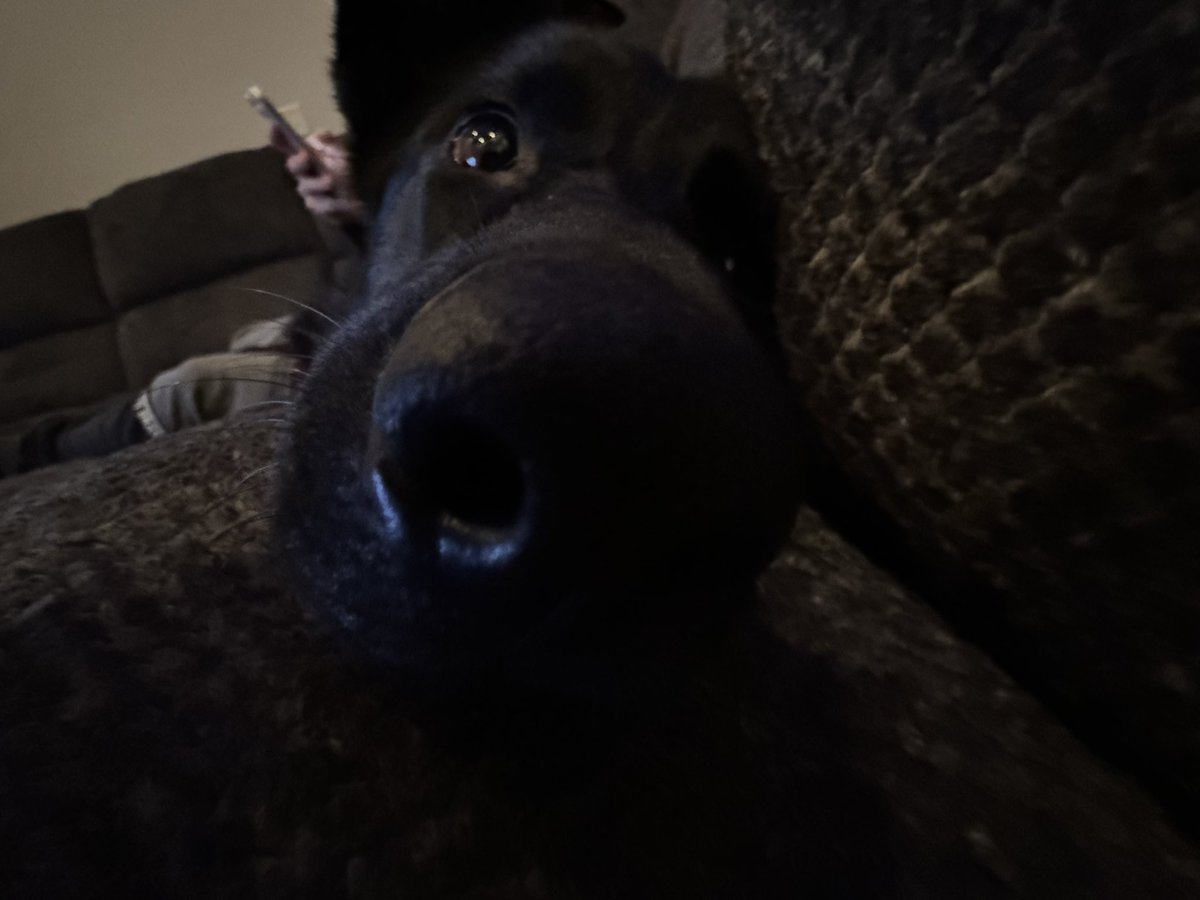 TimelessVR tweet media