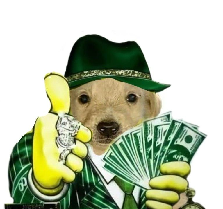 Zytixify's tweet image. Me stream again on Thursday hurray