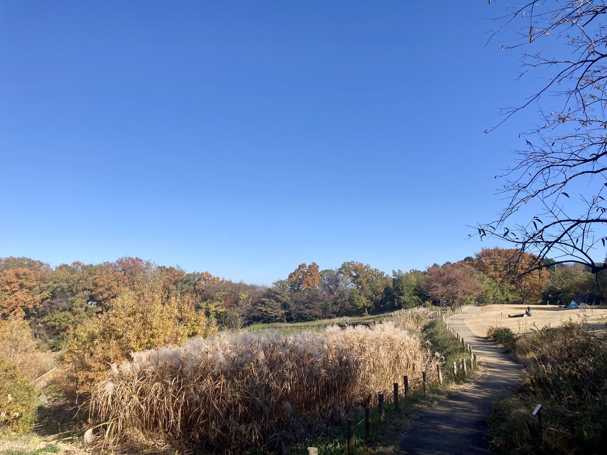 tanada61's tweet photo. 平日昼間の四季彩の杜 西園
をお散歩

数年前におくまちいで来て以来
とても良い時期に来れました
のどかで良いところですね〜

丘の上お昼寝も気持ちよさそうです https://t.co/0cmWPA3g9d