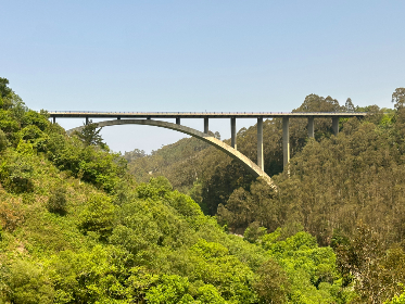 To further enhance performance, JAM employs core affinity, tying specific data to specific cores to reduce I/O stalls. Similar to CPU caching, frequently accessed data stays close to the processor, minimizing latency.