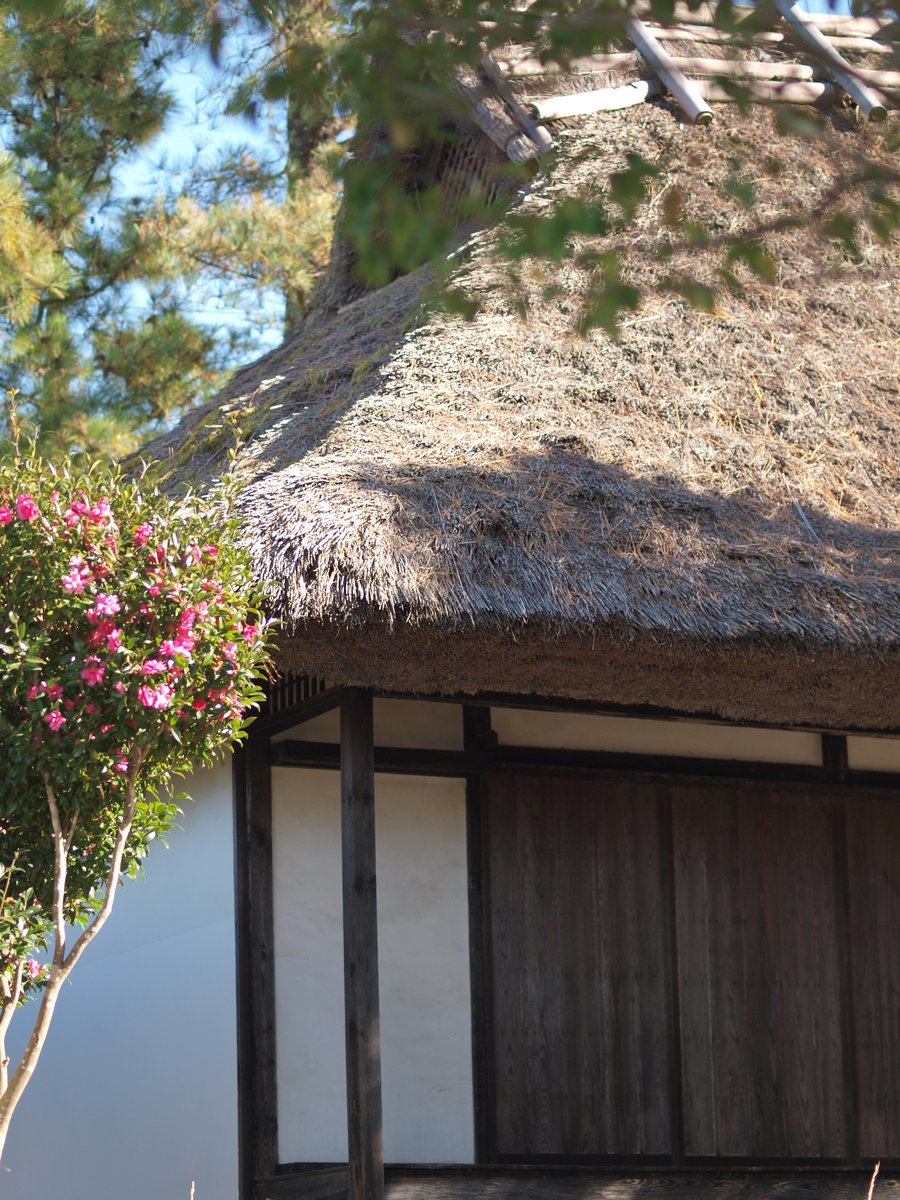 冬がくるなぁ🍂