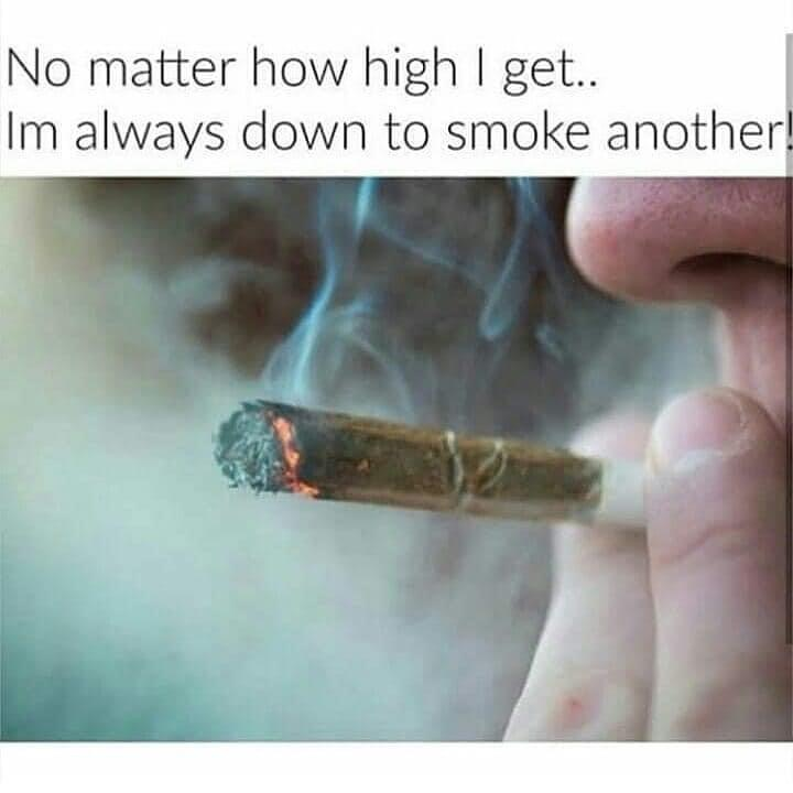 Stoner Jesus™ (@stonerjesus420) on Twitter photo 