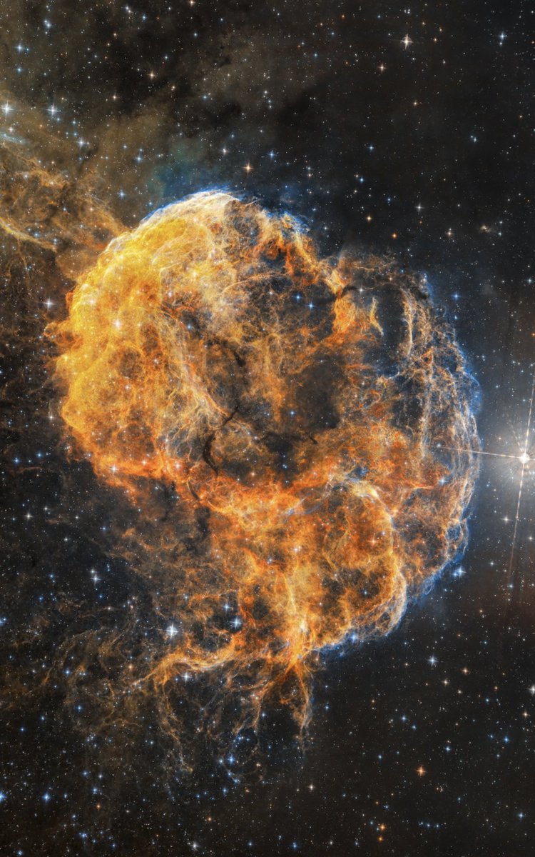 AJamesMcCarthy's tweet photo. I never would have thought this was possible 5-6 years ago.

Here’s a detailed photo of a nebula, photographed from my backyard using a telescope I got for $500 under light polluted skies. The universe is within reach. https://t.co/SLed9Zzn5R