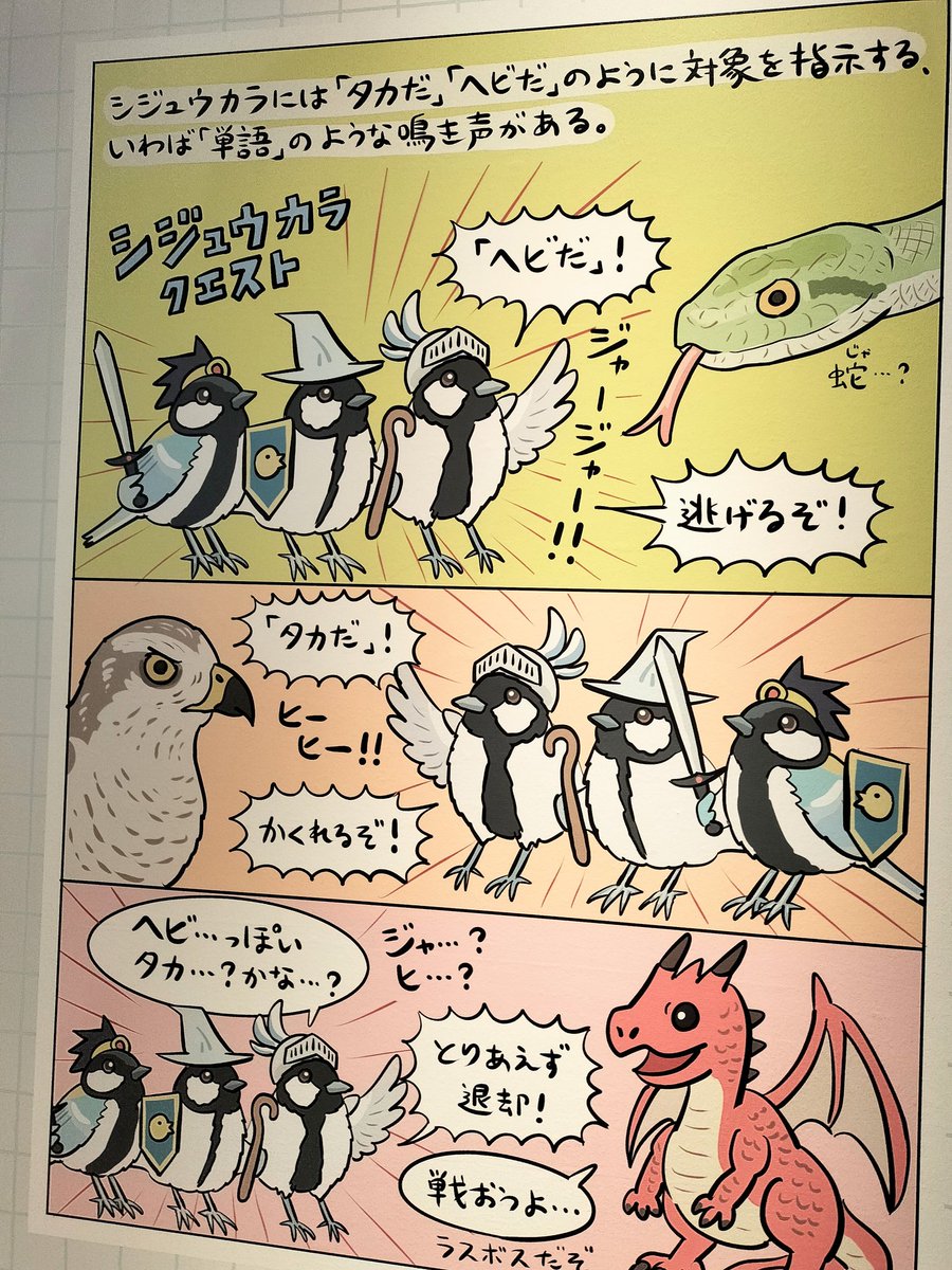 nozopipi's tweet photo. そろそろ有給消化に向き合うかとなり #ArTableau の練習も兼ねて国立科学博物館の #鳥展 に行ってきました。平日朝から、そこまで混雑もなくゆっくり楽しめました。Tableau鳥部の皆さまにおすすめです。 @numagasa さんの漫画がツボでした。なぜか入り口でカレンダーも貰えてホクホク。 https://t.co/yIfMPzSosA