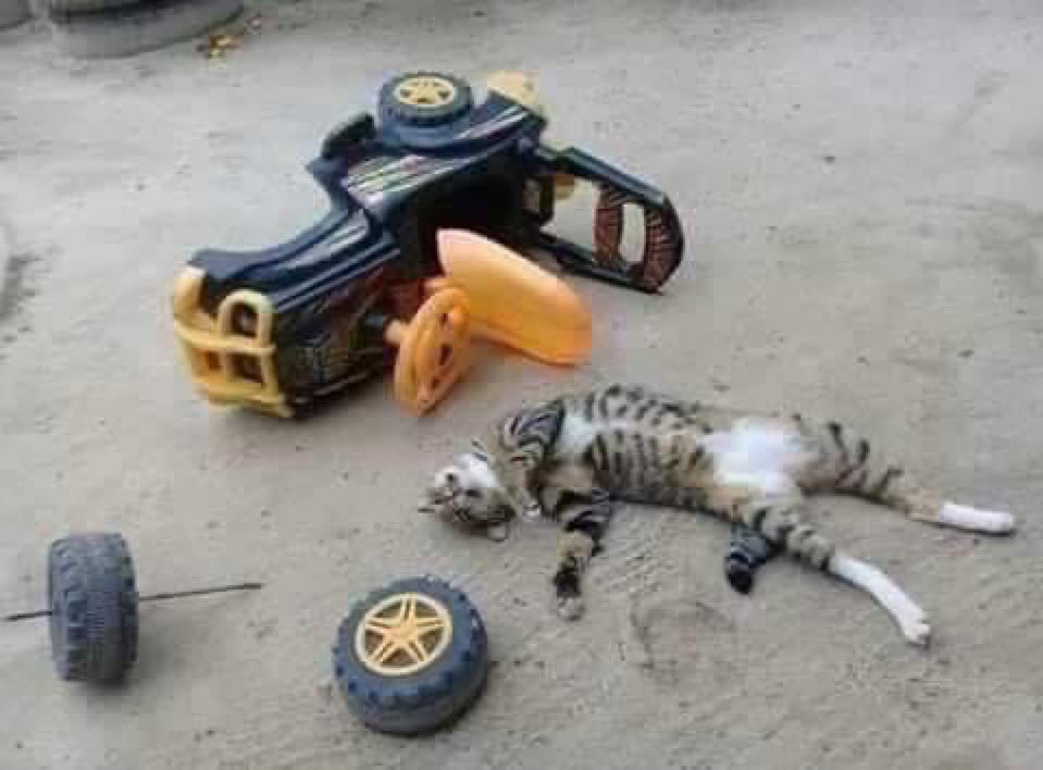 事故ですか？
事件ですか？
それとも昼寝ですか？