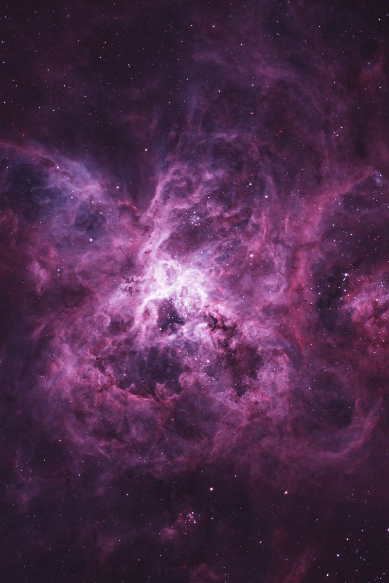 Dylan O'Donnell 🦋 tweet media