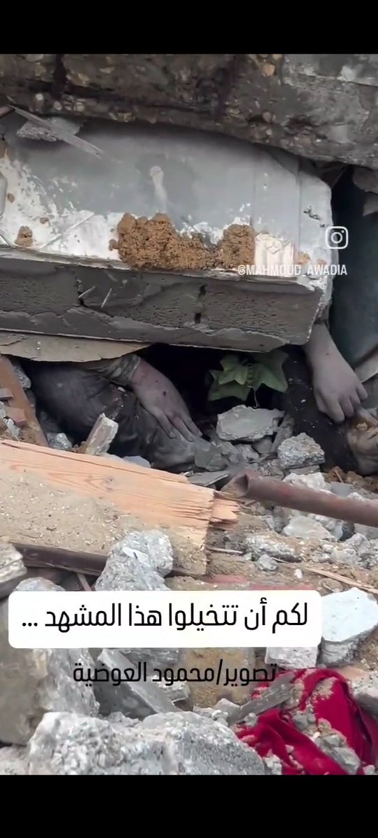 يااااااالله على قساوة المشهد تخيلوامعيا هذا بنت اربعة ايام هيا تحت الركام شهيدة تجلس، نفس الجلسة💔
#غزة_ابادة_جماعية