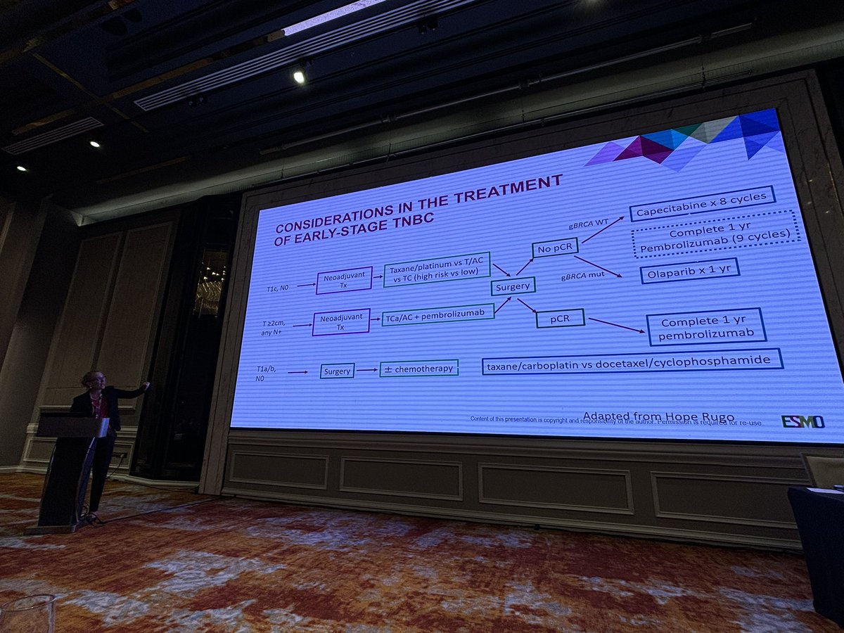 matteolambe's tweet photo. Time to discuss triple-negative #BreastCancer at the #ESMOpreceptorship in Singapore 🇸🇬 with IUR super @RebeccaDSing !!!

@OncoAlert @myESMO @Icro_Meattini @kevinpunie @hoperugo #bcsm #TNBC https://t.co/HbyB2WIbro