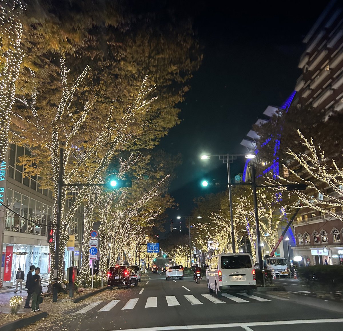 もう気づいたら12月？！
関東でおすすめのイルミネーション教えてください！！
#カルダノ女子