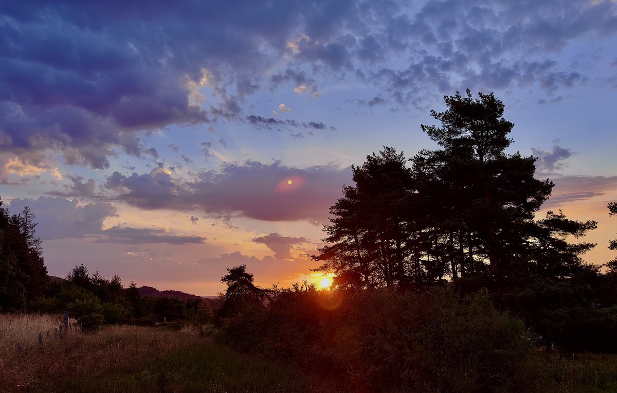 Luis🤭🏴‍☠️ tweet media