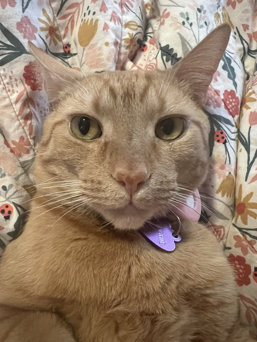 oreovisions's tweet photo. Recent son pictures 🥰 https://t.co/0GgY3akz68