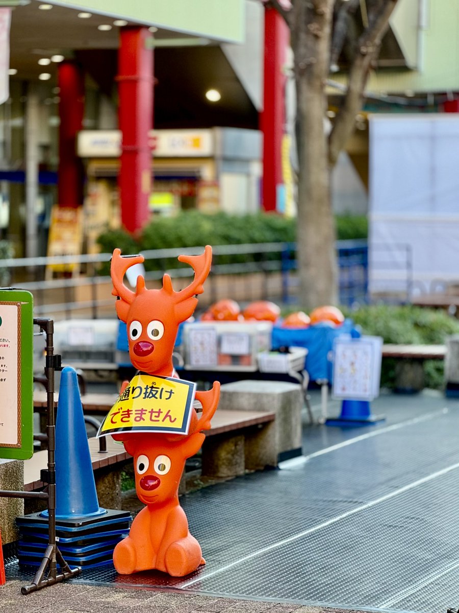 ebina_osg's tweet image. トミーが朱色になってる🫎

odakyu-sc.com/vinawalk/event…

#トミー
#海老名 #アイススケート（本物）