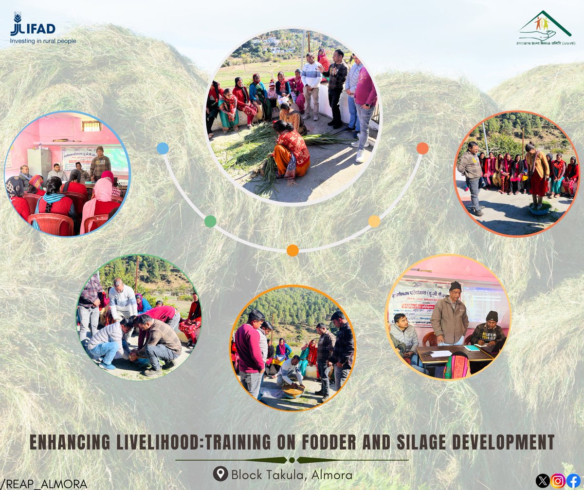 The Gramothan (REAP) Project conducted a demonstration on "Fodder and Silage Development" in block Takula. Master trainers delivered detailed insights into fodder and silage preparation and demonstrated the process.
<a href="/REAPUttarakhand/">REAP Uttarakhand</a>