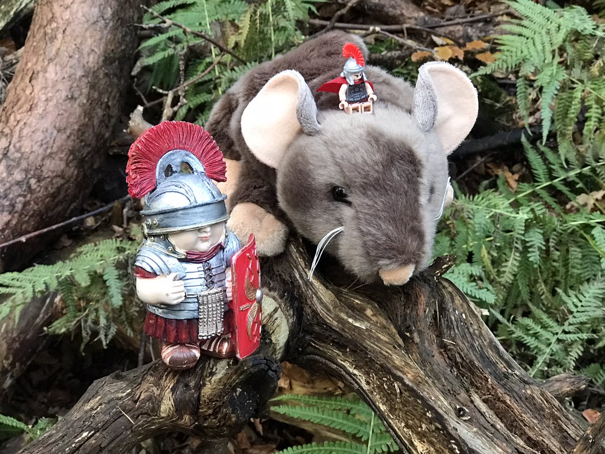 coal_legacies's tweet photo. Rattus Carbonicus also met with special visitors Marcus the @AntonineWall mascot and his friend. Although the earliest recorded working are 16thC the #Romans allegedly were the first to work the #copper. Rattus showed them round the workings and the early open cut #miningheritage https://t.co/JnhXWS3MV7