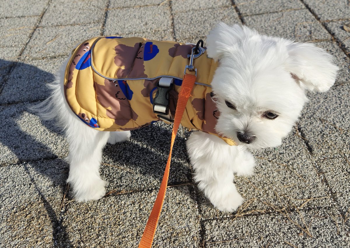 감자보세요 감자