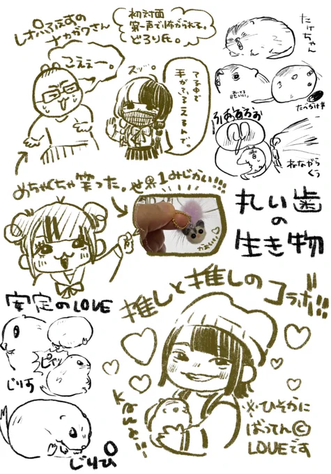 最近のハイライト一生面白くて一生かわいい 