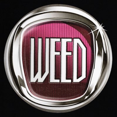 🎰adelaide🍻 tweet media