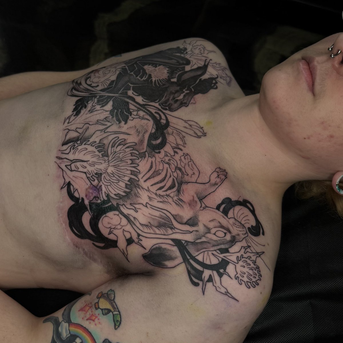 alekivz's tweet photo. as far as we got today on this watership down piece 🐇 https://t.co/R2lYjZz8K8