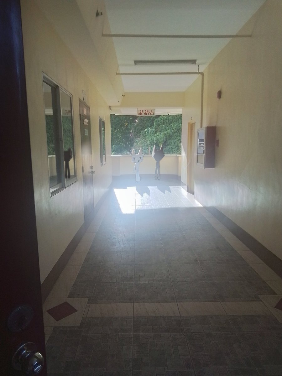 ashtolentino2's tweet photo. Toro and Kuro in my school #toro #kuro #DokoDemoIssyo #2cats #UmiArts #Art #Doodles https://t.co/l9ISFJBCHG