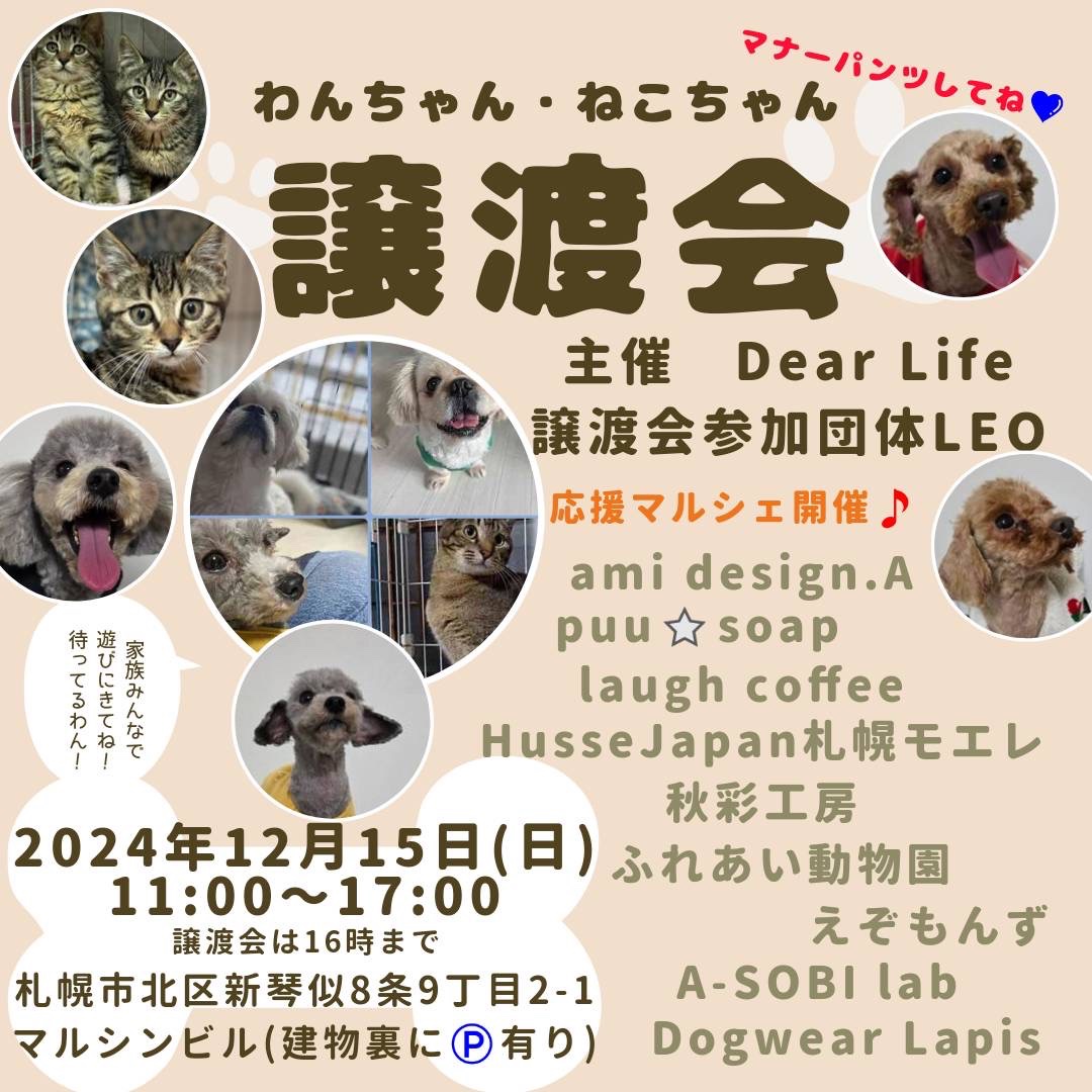bell_inuneko's tweet photo. 📢譲渡会開催決定✨️
譲渡会参加型応援マルシェです📣
🗓2024.12.15(日)
⏱11:00〜17:00(譲渡会は16:00まで)
📍新琴似マルシンビル
駐車場は建物裏に🅿️あります🙇‍♀️

注意点は次のツリーに記載します。 https://t.co/M6aL05DWCz