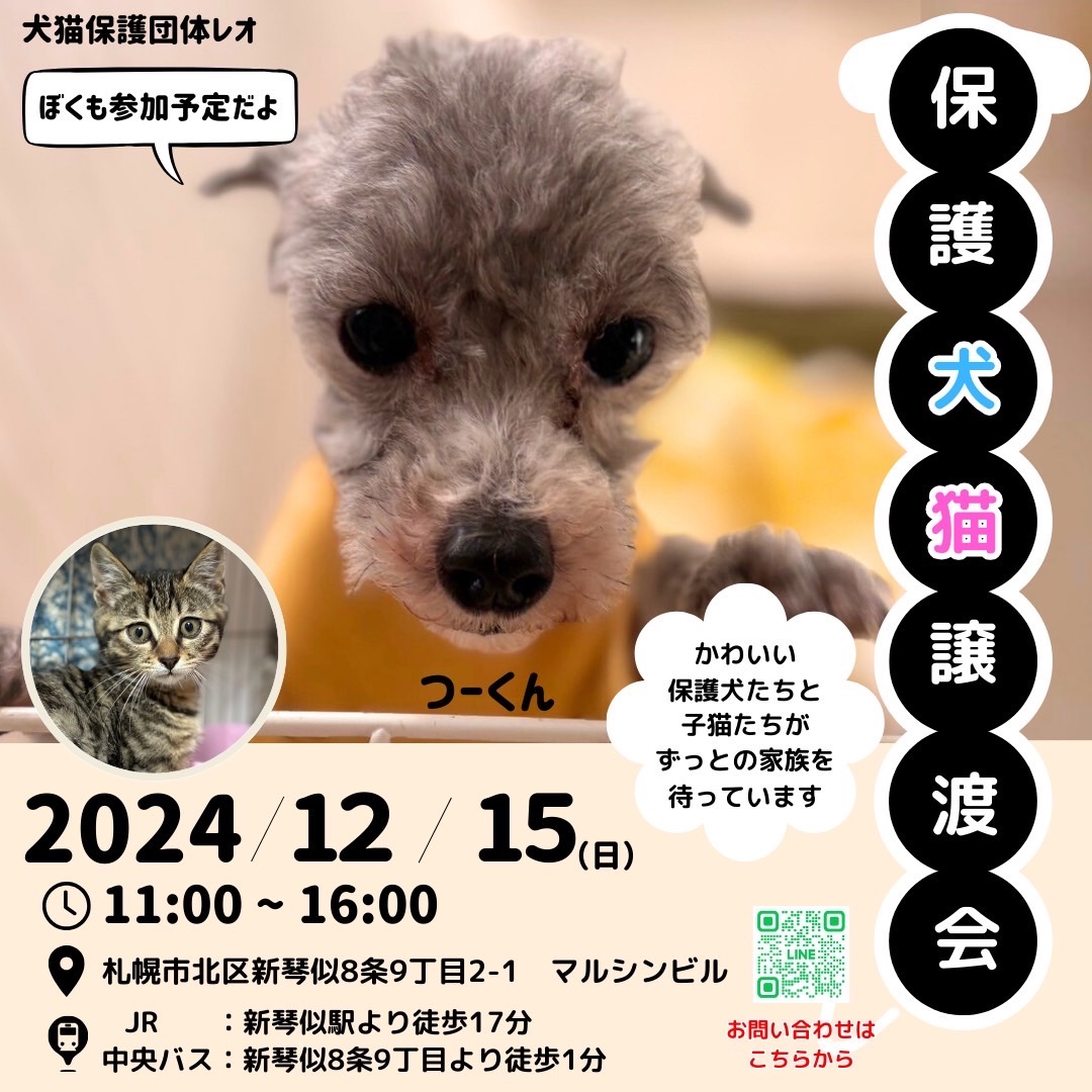 bell_inuneko's tweet photo. 📢譲渡会開催決定✨️
譲渡会参加型応援マルシェです📣
🗓2024.12.15(日)
⏱11:00〜17:00(譲渡会は16:00まで)
📍新琴似マルシンビル
駐車場は建物裏に🅿️あります🙇‍♀️

注意点は次のツリーに記載します。 https://t.co/M6aL05DWCz