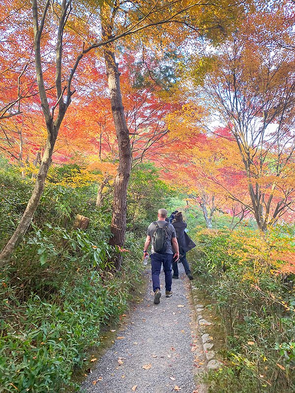 kucseas's tweet image. 🍁秋の散策ツアーin嵐山🍁
昨日は客員研究員者と教員の有志がそろって嵐山一帯の色とりどりの紅葉を楽しみました。10年前に清水展先生のアイデアで始まったCSEASの国際交流イベント、今年もお天気にも参加者にも恵まれて和やかなひとときとなりました。