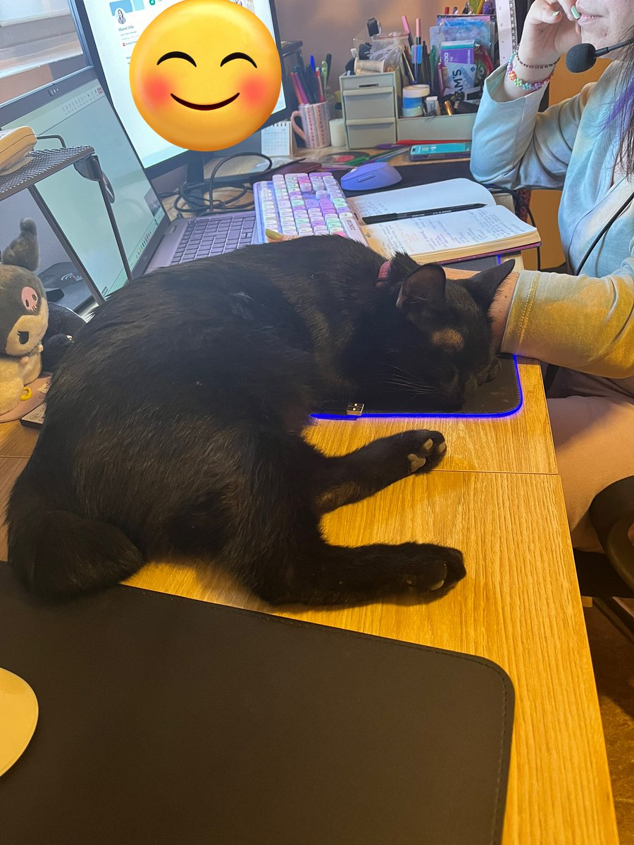 Thewooshh tweet media