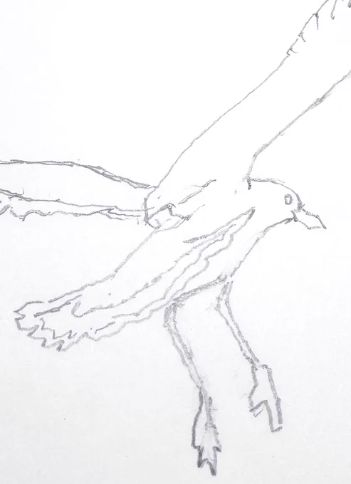 装画のお仕事。 詳細は後日あらためてお知らせします。