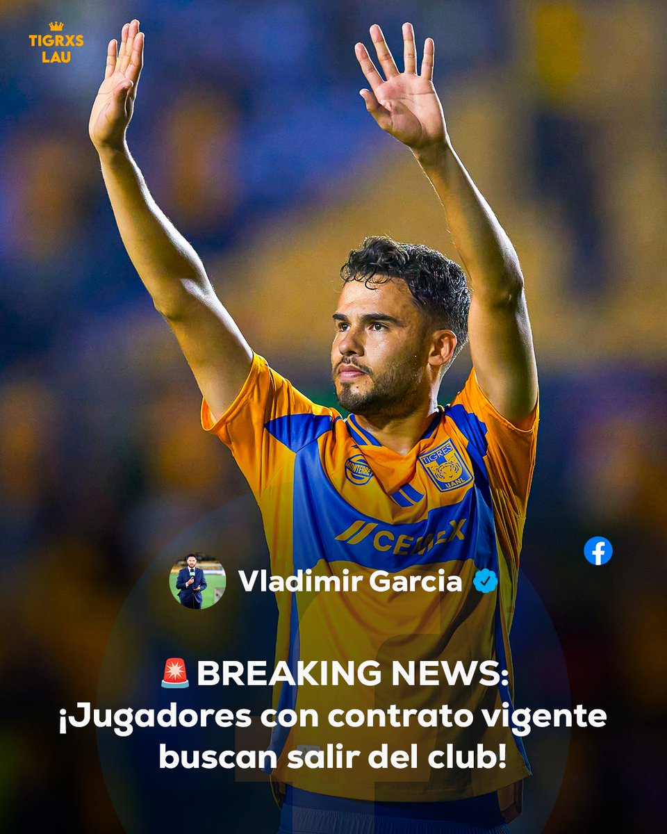 Absolute Tigres tweet media