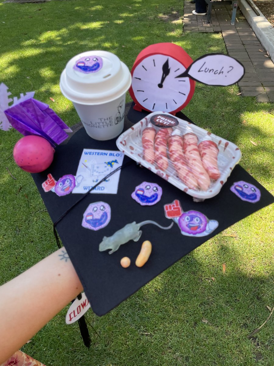 KateGQuinlan's tweet image. On Monday, @AnnalisePsaila graduated from her PhD! Congratulations, Dr Psaila, on reaching this very well-deserved career milestone! And I am delighted to be able to work with you for a bit longer as you're staying on as postdoc in the lab. #PhDone @UNSWBABS @UNSWScience @UNSWGRS