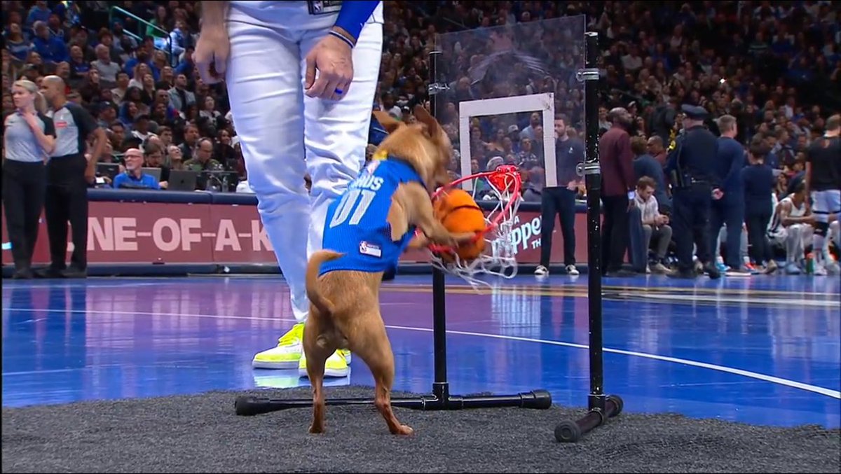 MaCoyMatty's tweet photo. This mutt has more points than Klay Thompson tonight btw https://t.co/4JQyOHORYM