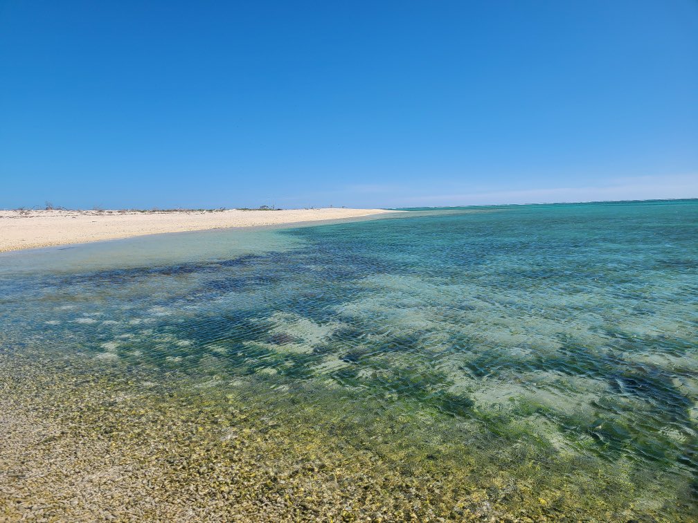 Neil Cavanah tweet media