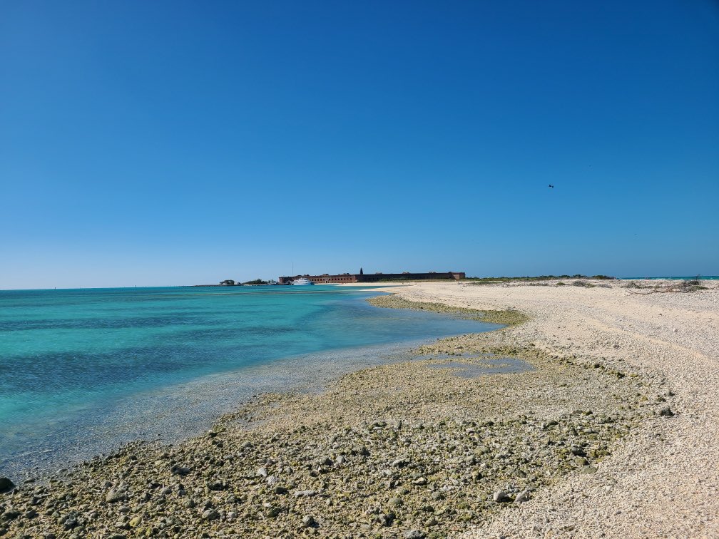 Neil Cavanah tweet media