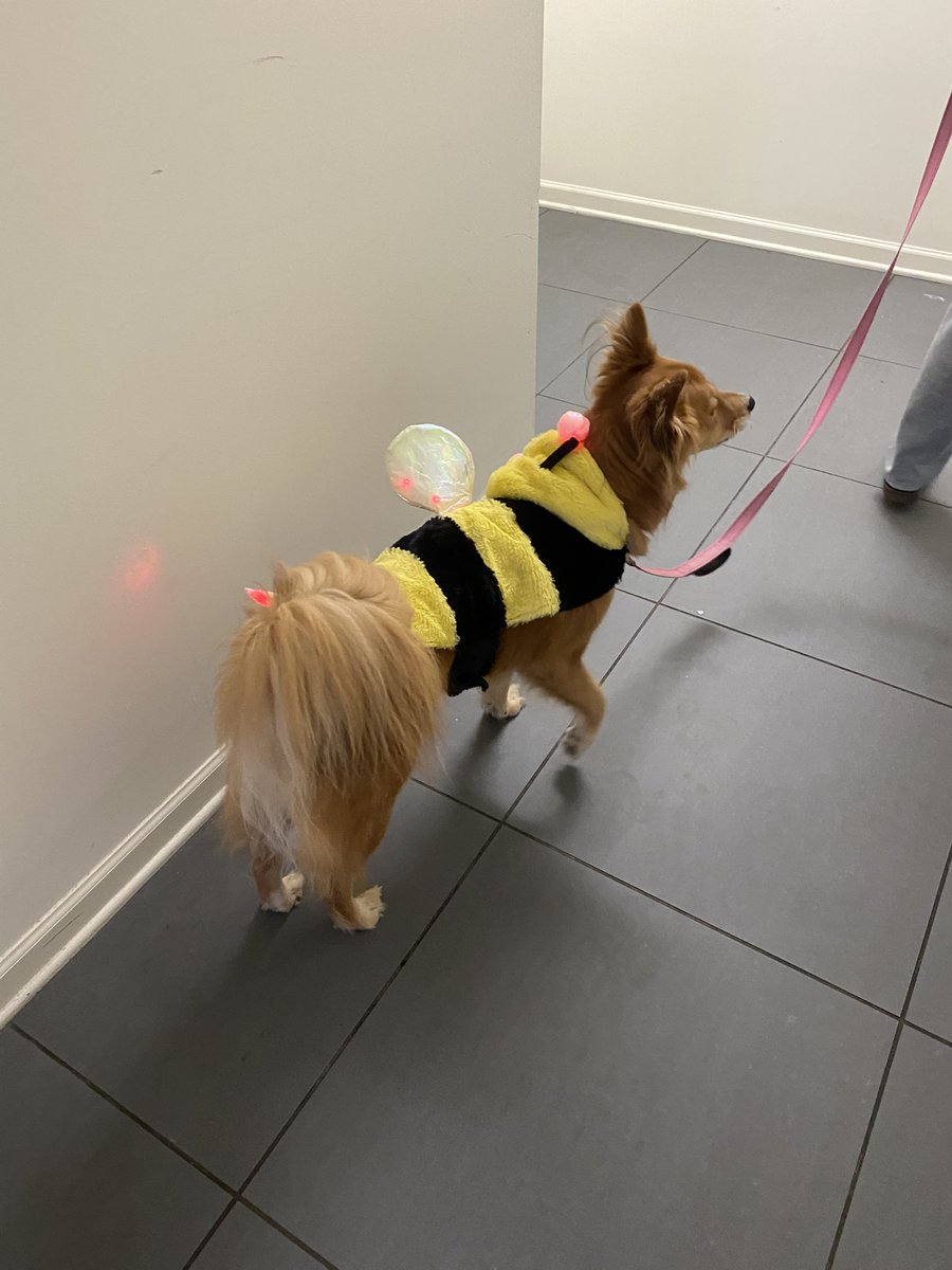 Laura Escher tweet media