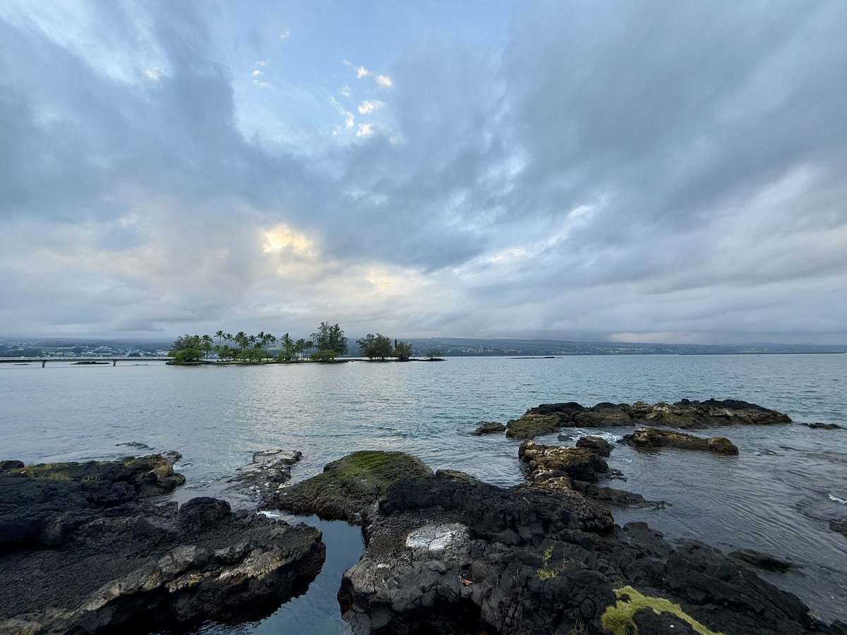 #Hawaii #Hilo #coconutisland