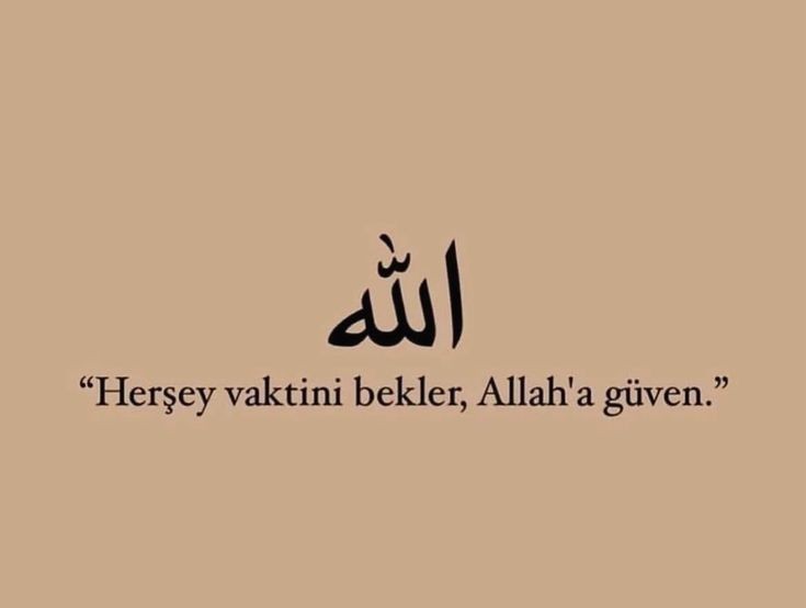 UZİ (@gazatr) on Twitter photo 