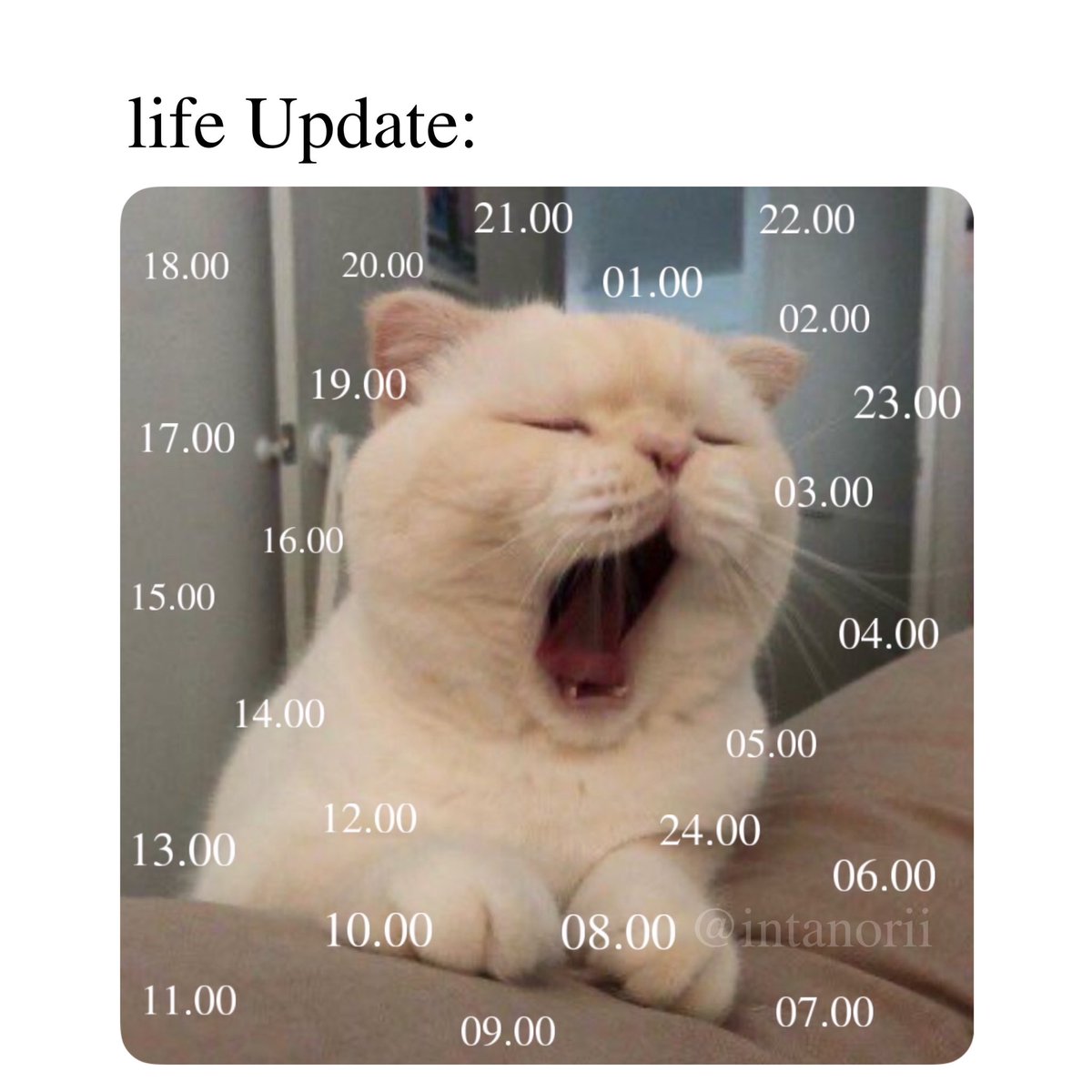 Intan Ori (@intanorii) on Twitter photo 