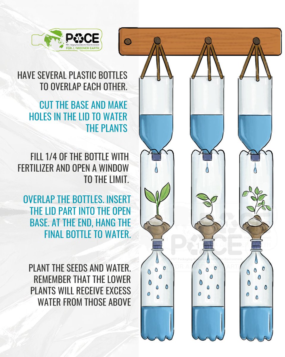 paceindiaorg's tweet photo. Turn your used PET bottles into blooming balcony heroes! A little creativity, and your green space hangs in style.
Save this and Share - How to make a Vertical garden with PET BOTTLES.

#SustainableChoices #PET #plasticbottles #CreativeSolutions https://t.co/KKfK6ivwWw