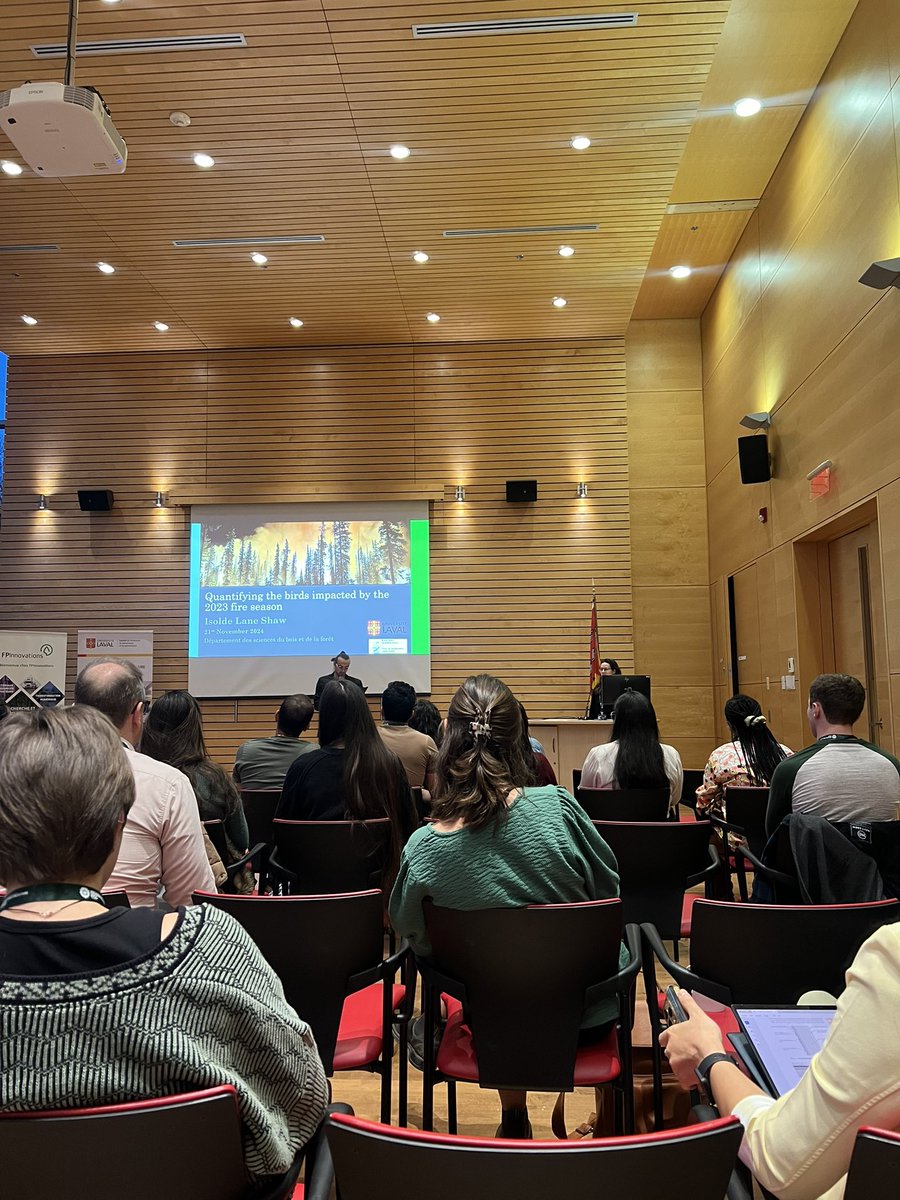 Maimoona Birjees tweet media