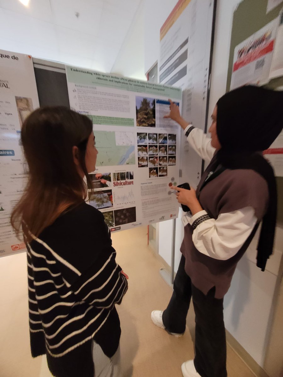 Maimoona Birjees tweet media