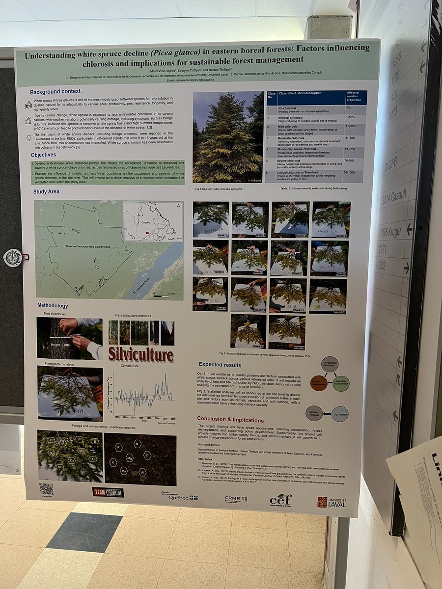 Maimoona Birjees tweet media