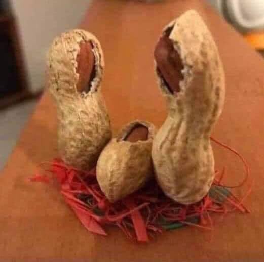 IamEveryDayPpl's tweet image. Oh good- my nativity scene from Temu arrived.