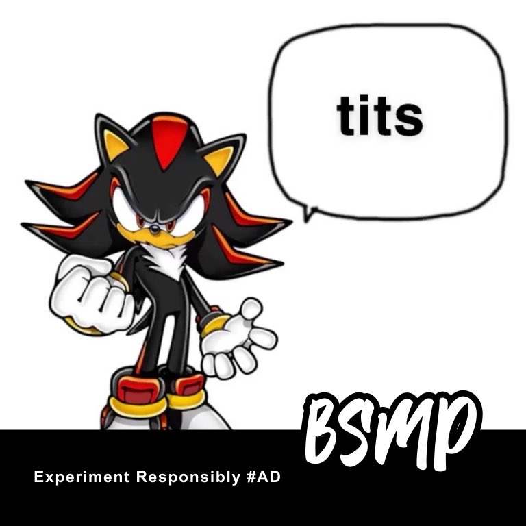 border_smp's tweet photo. we used our entire graphic design budget on the shadow the hedgehog one so now we gotta sell out https://t.co/ti9nz4Q0gI