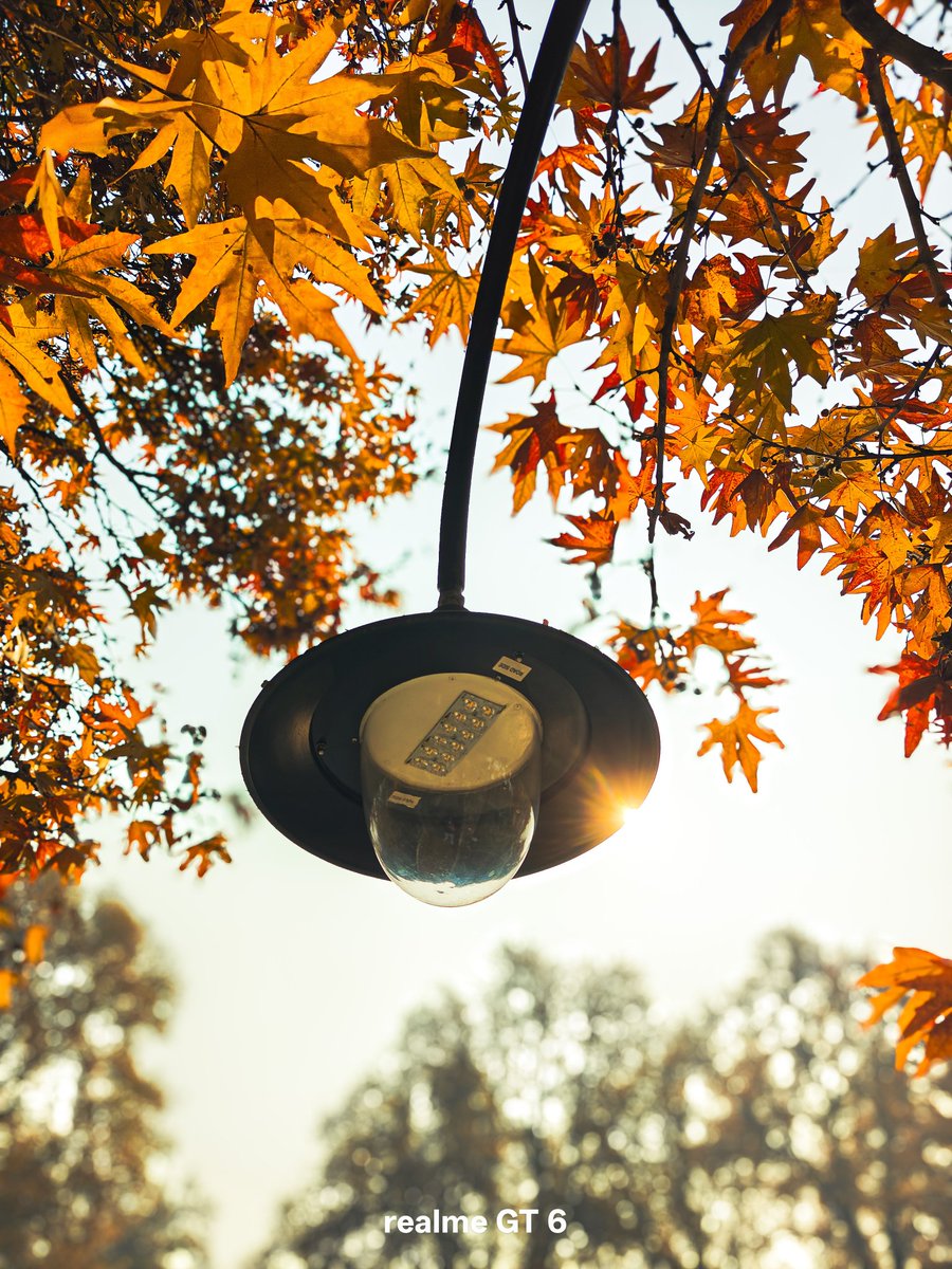anaam_farooq's tweet photo. Autumn in Kashmir 🍂🍁
#shotonrealme #realmegt6 #realme #photography #autumfalls
@ChaseXu_ @realmeIndia @realmeglobal https://t.co/wfA9nIV2Ks