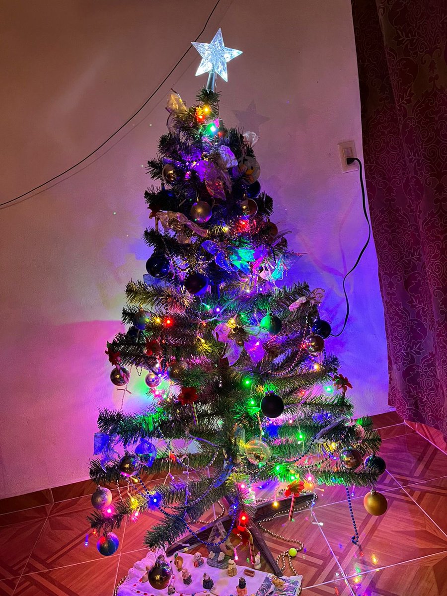 davidterko's tweet photo. La navidad llegó a la casa 🏠 https://t.co/OkLzg1UT5b