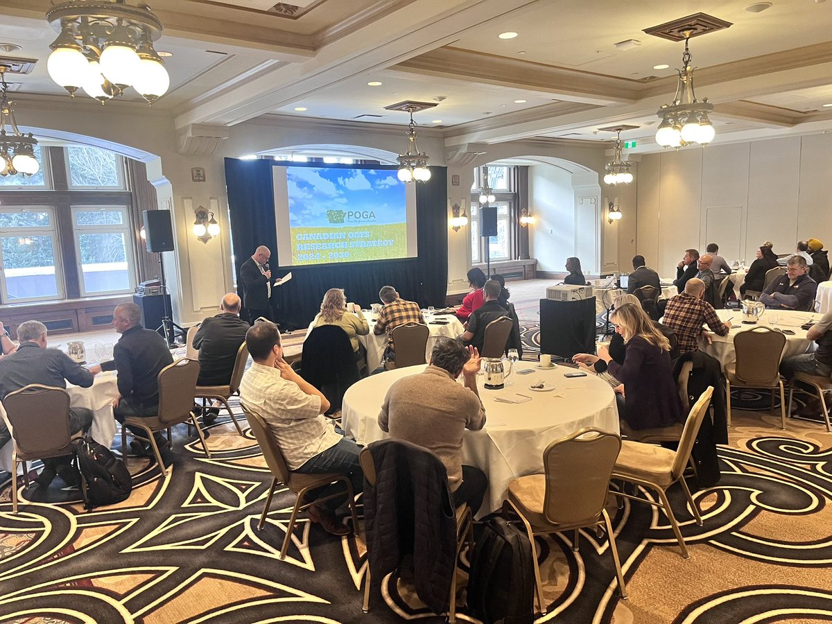 This afternoon, POGA hosted a Research Forum with farmers and industry leaders to shape future research priorities. Together, we’re driving innovation for a stronger oat sector and maximizing check off dollars.
