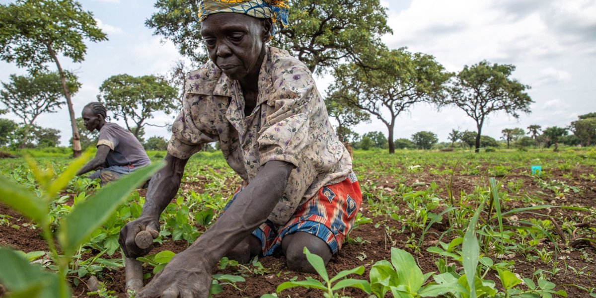 Food insecurity and land degradation are critical issues in South Sudan, worsened by conflict and climate change. 

Launched this year, this project will benefit 75,000 people through ecosystem restoration and climate-smart agriculture: ow.ly/CAf750UiGLI #COP16Riyadh